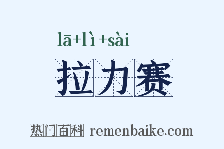 拉力赛是什么意思的图片